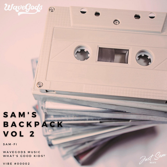 i-think-song-and-lyrics-by-sam-fi-spotify