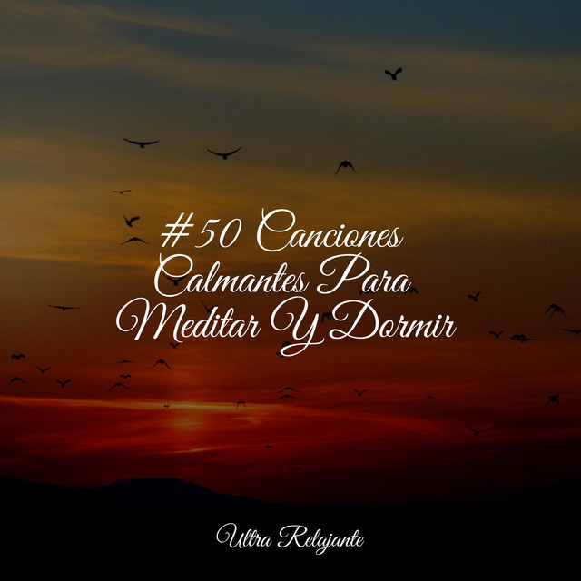 #50 Canciones Calmantes Para Meditar Y Dormir cover art