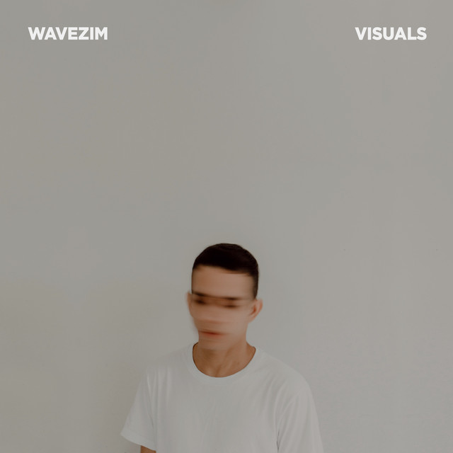 Visuals cover art