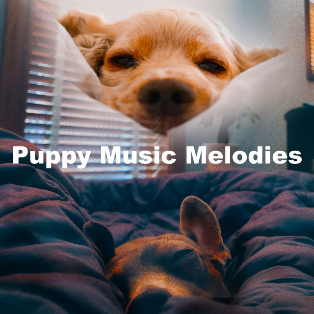 Puppy Music Melodies - Album by Music for Puppies | Spotify