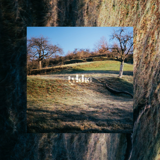 Cedar cover art