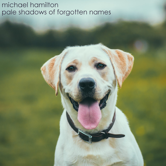 Pale Shadows of Forgotten Names cover