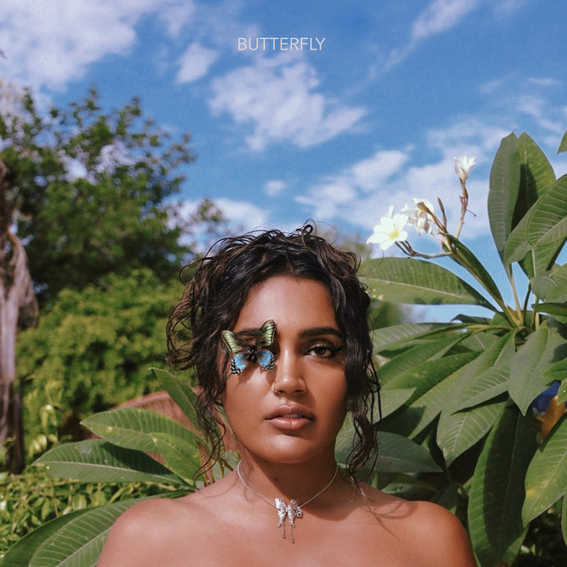 Butterfly cover art