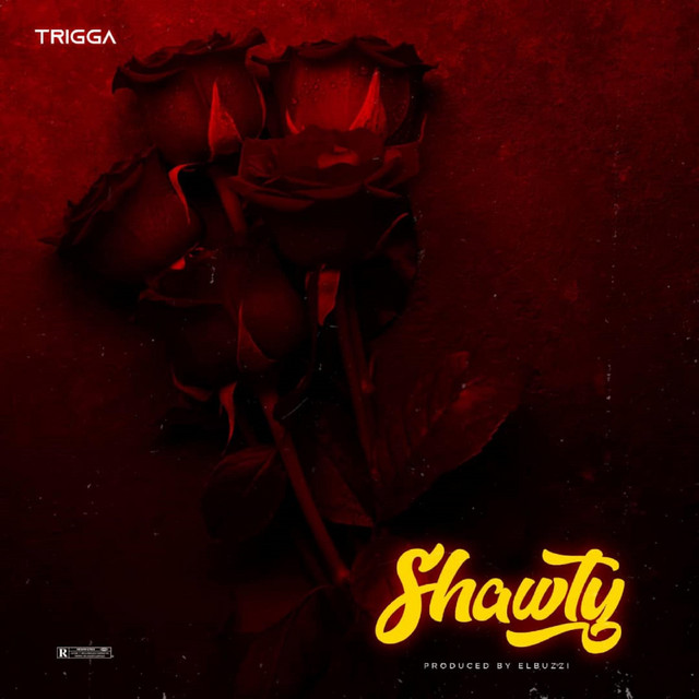 SHAWTY - Single by TRIGGA | Spotify