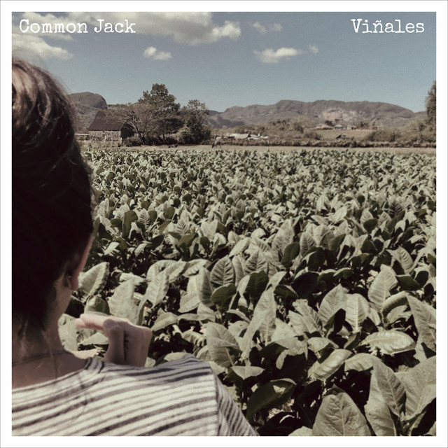 Viñales cover art