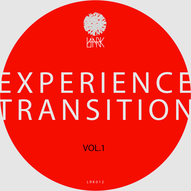 Experience Transition cover art