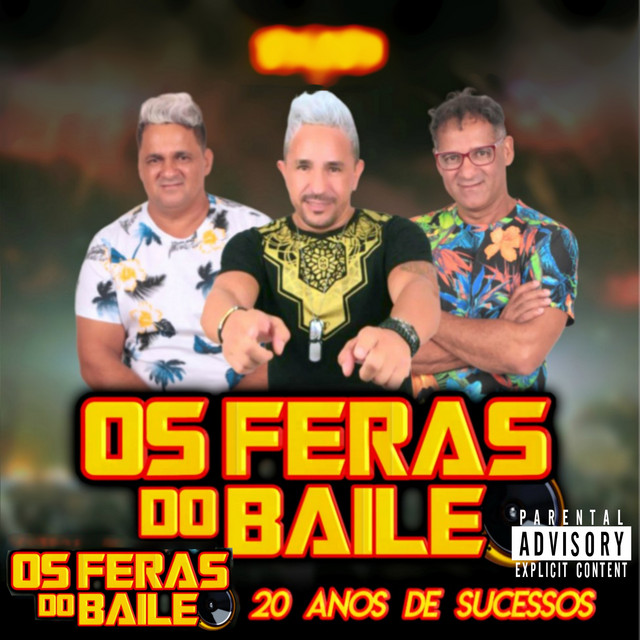 20 Anos de Sucessos (Ao Vivo) cover art