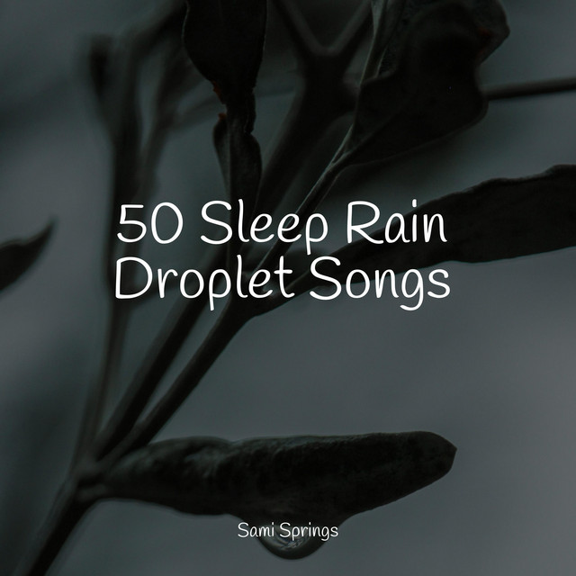 50 Sleep Rain Droplet Songs - Album by Academia de Relaxamento e ...