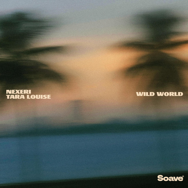 Wild World album image