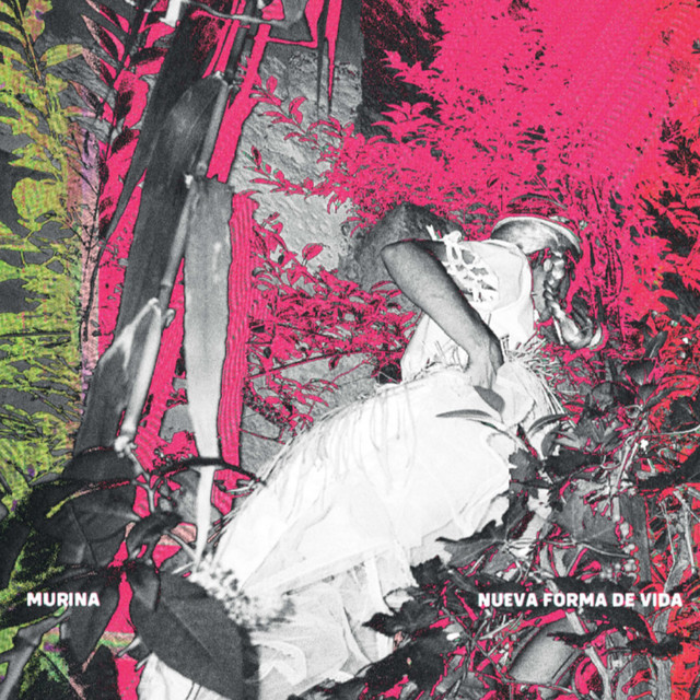 Nueva Forma de Vida cover art