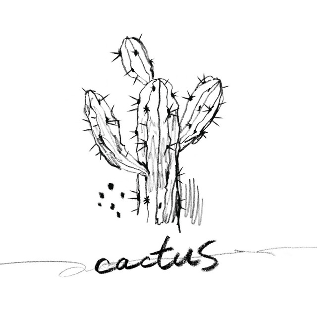 Cactus cover art