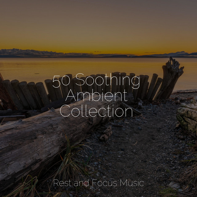 50 Soothing Ambient Collection - Album by Music for Absolute Sleep ...