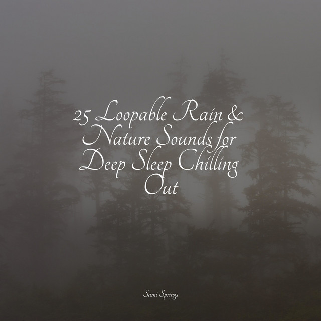 25 Loopable Rain & Nature Sounds for Deep Sleep Chilling Out - Album by ...