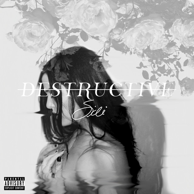 Destructive cover art