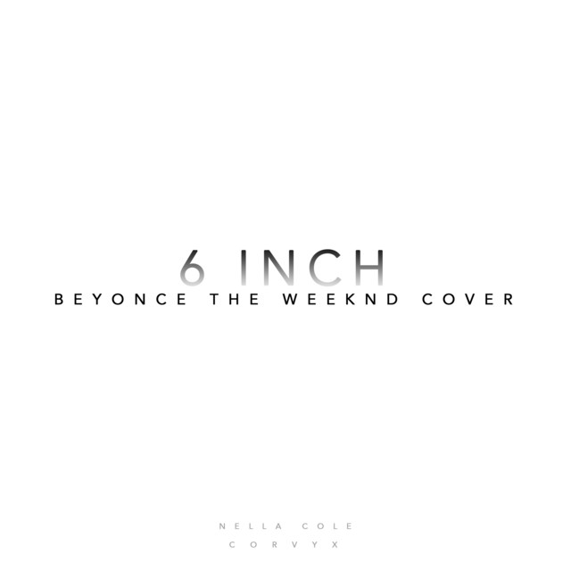 6 Inch cover art