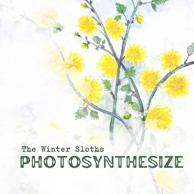 Photosynthesize
