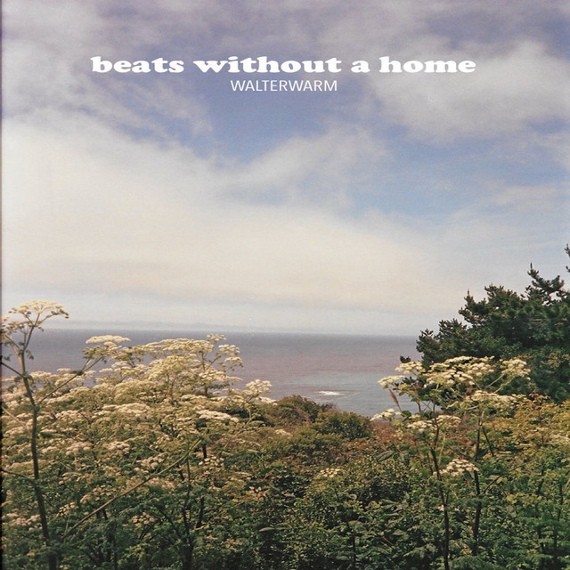 Beats Without a Home cover art