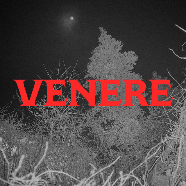 VENERE