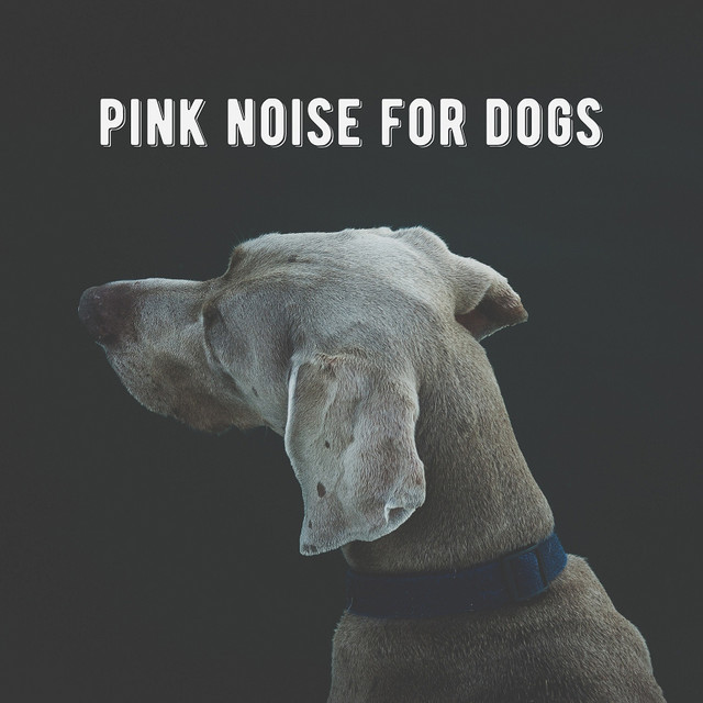 Pink Noise for Dogs cover art