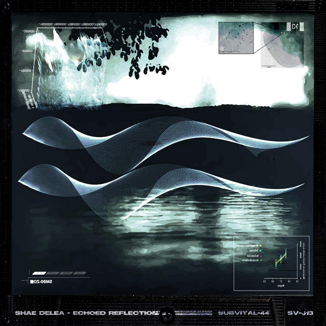 echoed reflection cover art