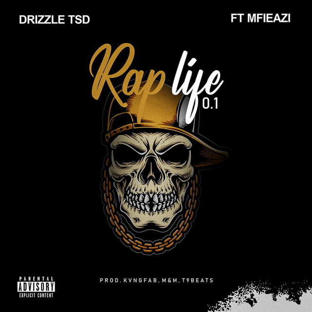 Drizzle TSD | Spotify