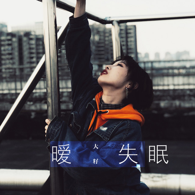 暧失眠 by 大籽