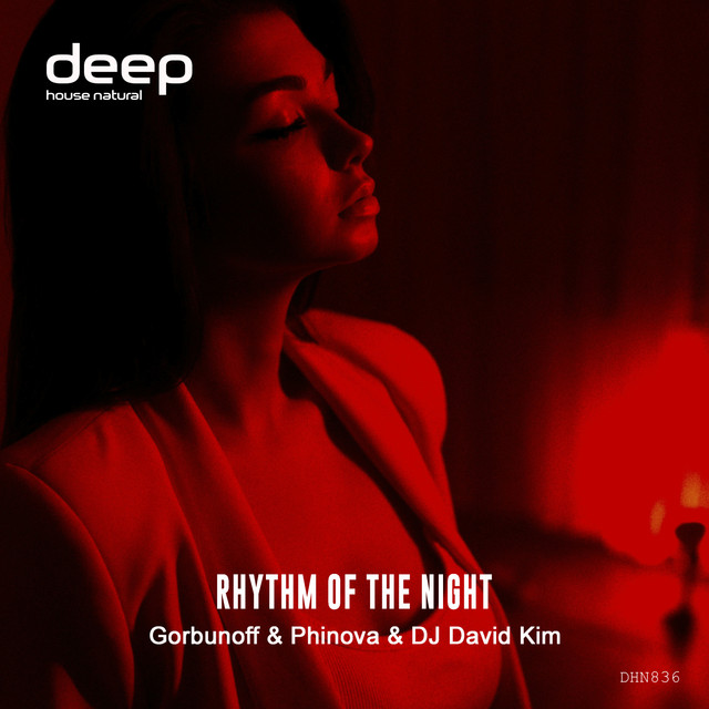 Обкладинка: Rhythm of the Night — Gorbunoff
