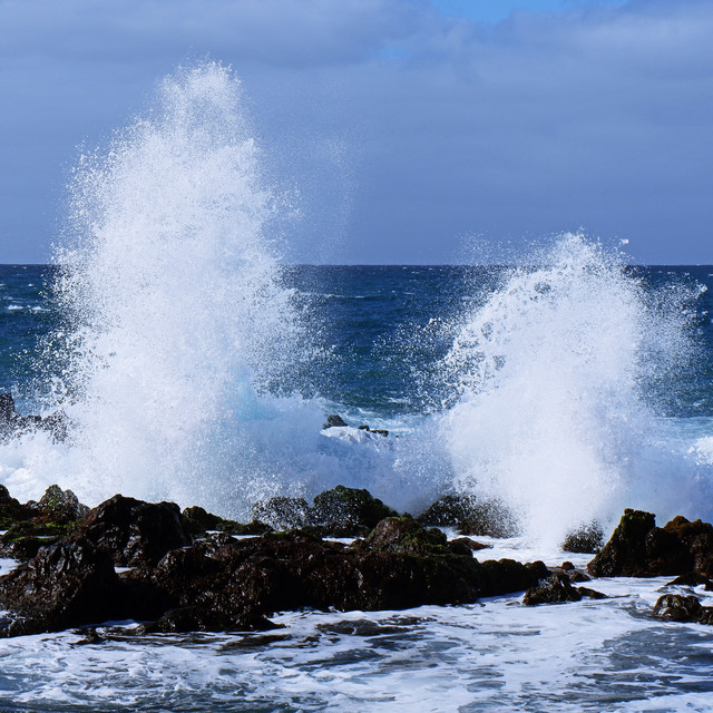 Exotic Relaxation - Reflexology Pure Waves cover art