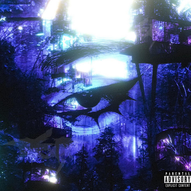 Vvs cover art