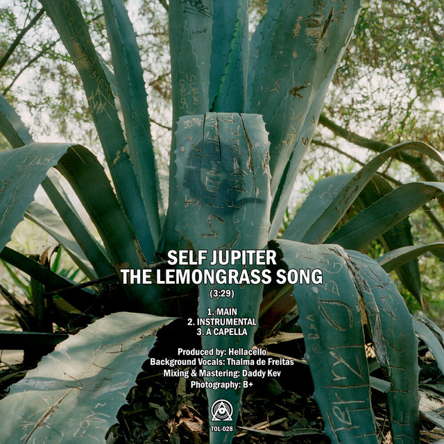 The Lemongrass Song cover art