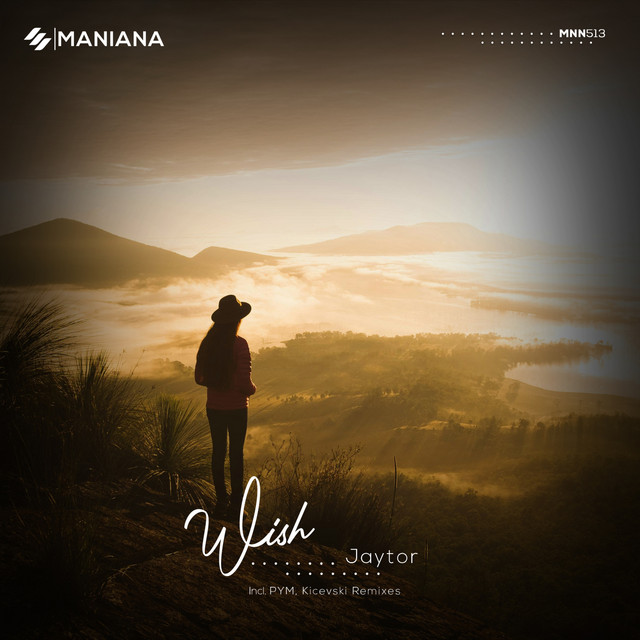 Wish cover art