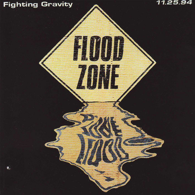 Live at the Flood Zone cover art
