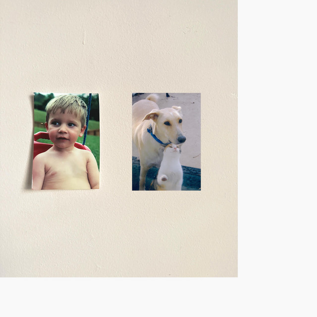 Lil cat ok cover art
