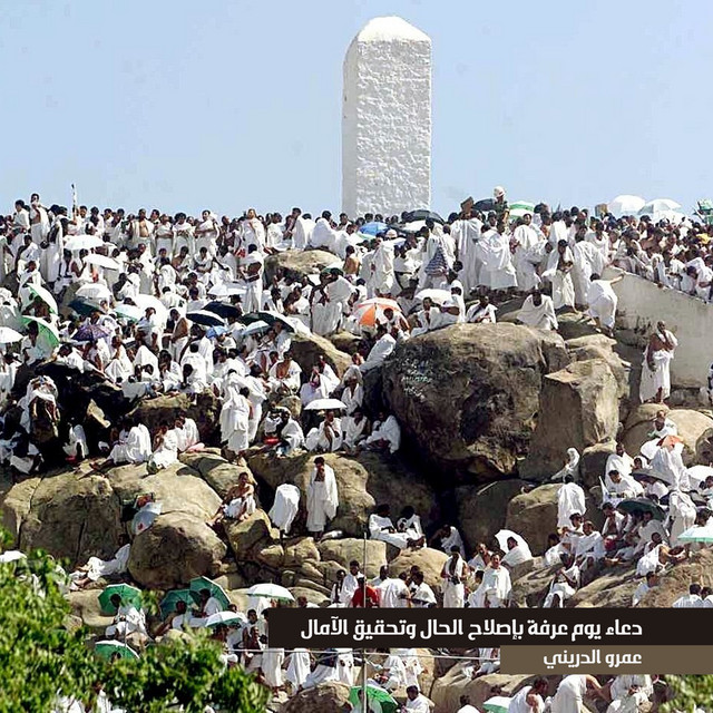 عمرو الدريني