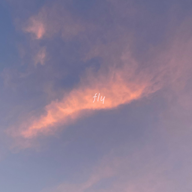 fly cover art