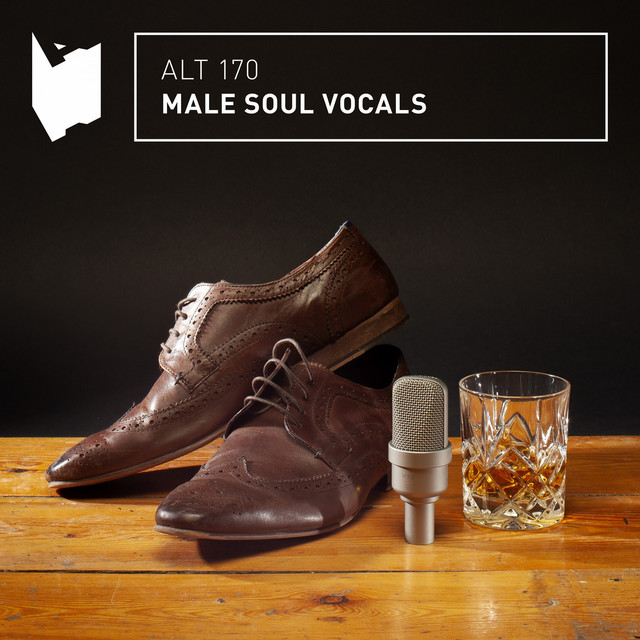 Male Soul Vocals cover art