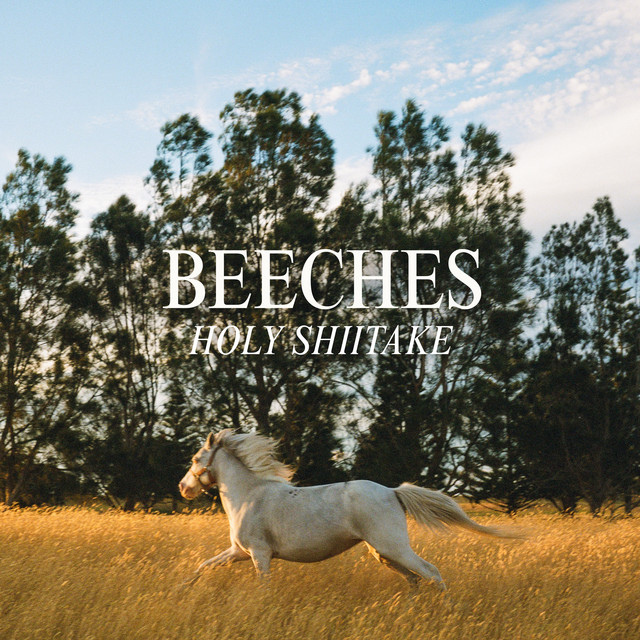 Holy Shiitake cover