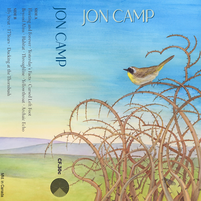 Jon Camp cover art