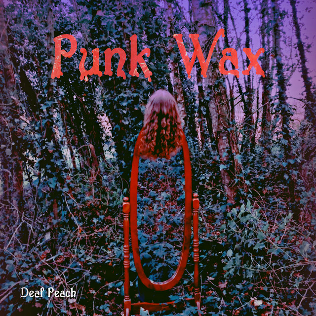 Pochette du titre Punk Wax
