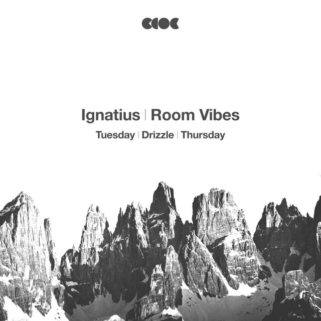 Room Vibes cover art