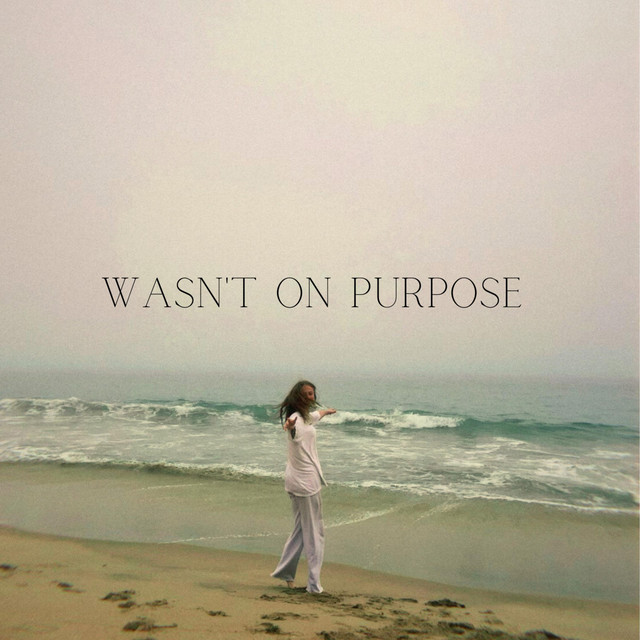 Wasn't on purpose cover art