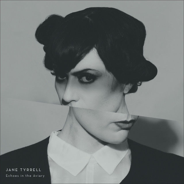 Echoes In The Aviary cover art