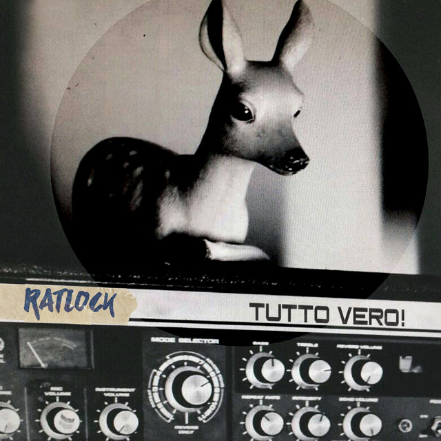 Tutto vero! cover art