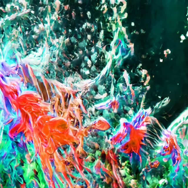 Neotropic cover art