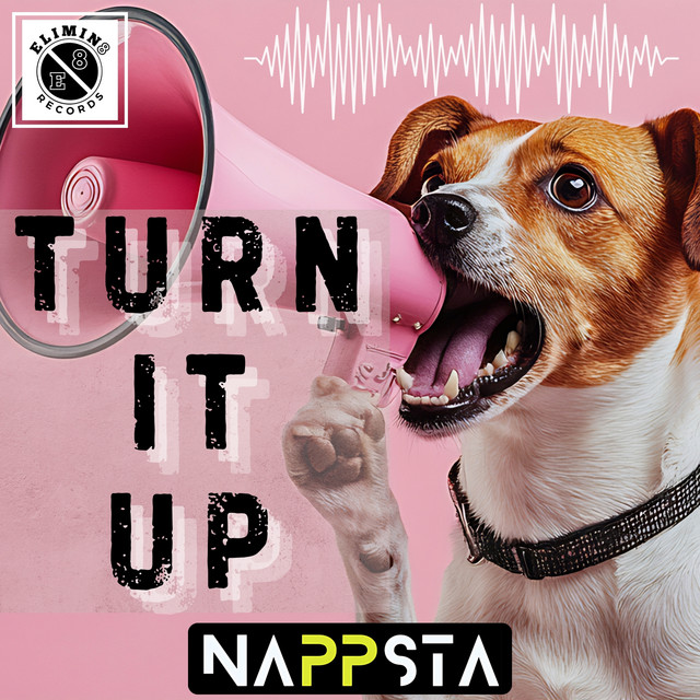 Turn It Up - Extended Mix album art