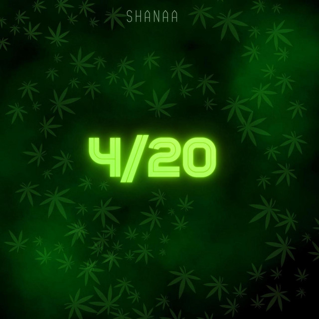 4 / 20
