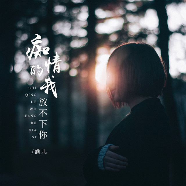 痴情的我放不下你 (DJBanan版)