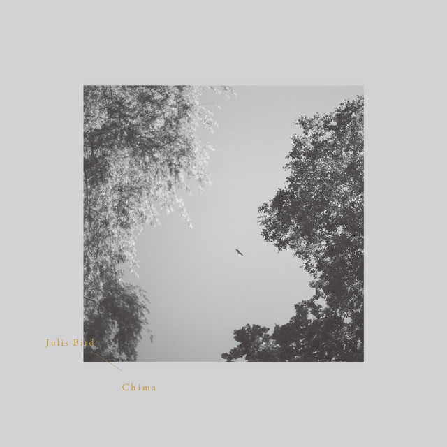 Julis Bird cover art