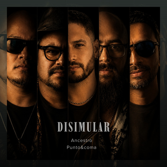 Disimular cover