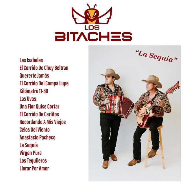 Los Bitaches